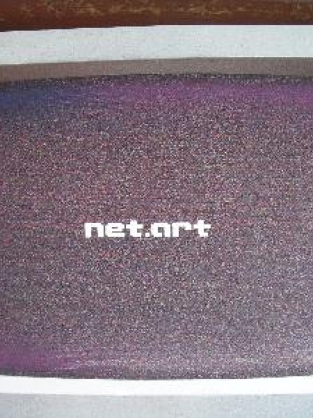 net.art