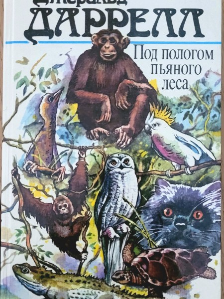 Под пологом пьяного леса