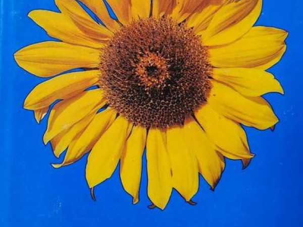 Rat für jeden Gartentag - Ein praktisches Handbuch für den Gartenfreund