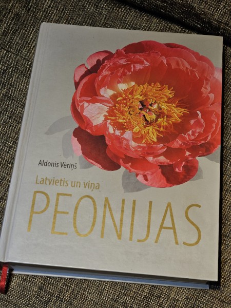 Latvietis un viņa peonijas