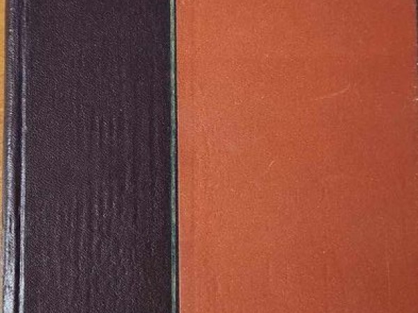 Tautas dzejnieks Rainis 1865-1965