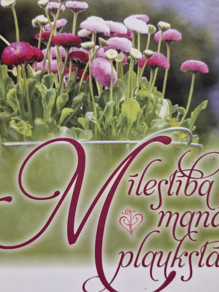 Mīlestība manā plaukstā