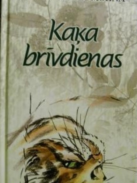 Kaķa brīvdienas