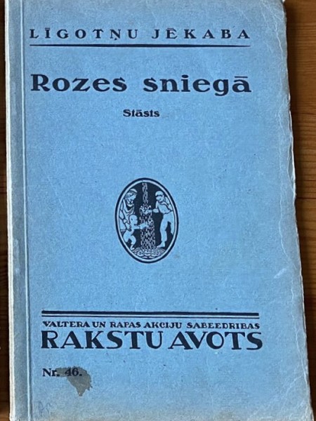 Rozes sniegā