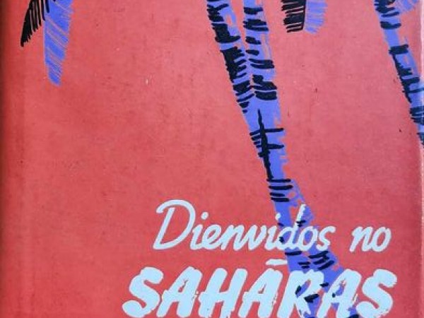 Dienvidos no sahāras