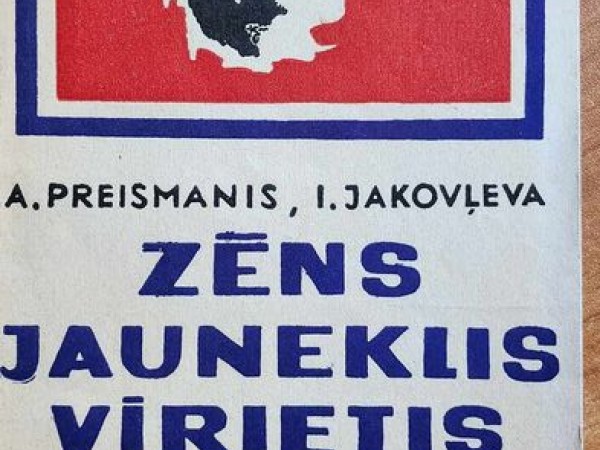 Zēns Jauneklis Vīrietis