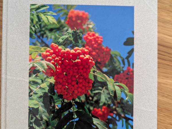 Piedodu sev - Sāpes tavā sirdī