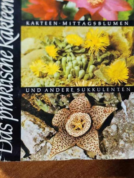 Das praktische Kakteenbuch