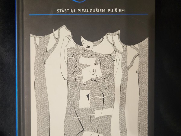 Stāstiņi pieaugušiem puišiem