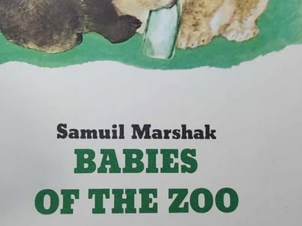 Babies of the ZOO