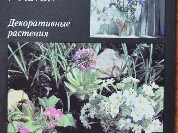 Ваш приусадебный участок. Декоративные растения