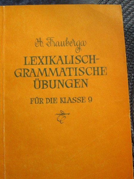 Lexikalisch - grammatische ubungen fur die klasse 9