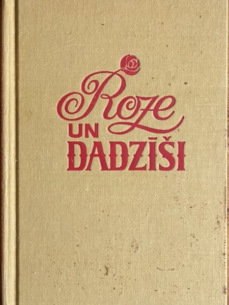 Roze un dadzīši