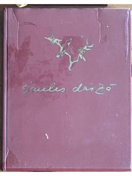 Saules dārzā