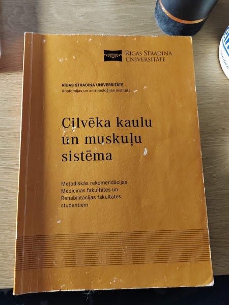 Cilvēka kaulu un muskuļu sistēma