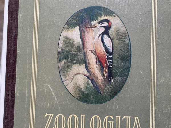 Zooloģija
