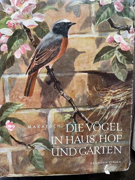 Die vogel in haus, hof und gartnen.