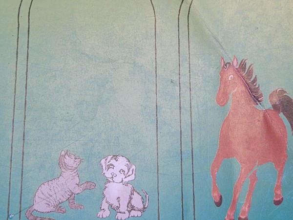 Dzīvnieku fizioloģija jautājumos un atbildēs