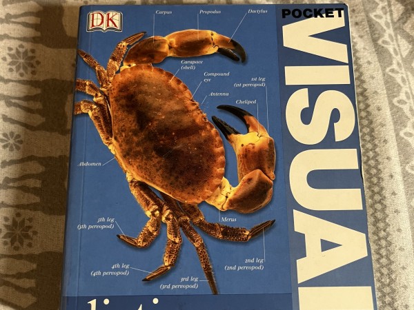 Pocket Visual Dictionary