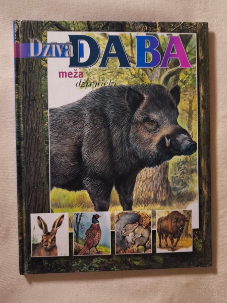 Dzīvā daba Meža Dzīvnieki