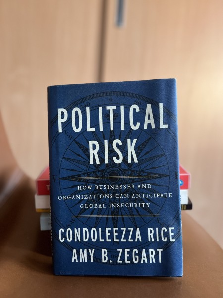 Political Risk: How Businesses and Organizations Can Anticipate Global Insecurity