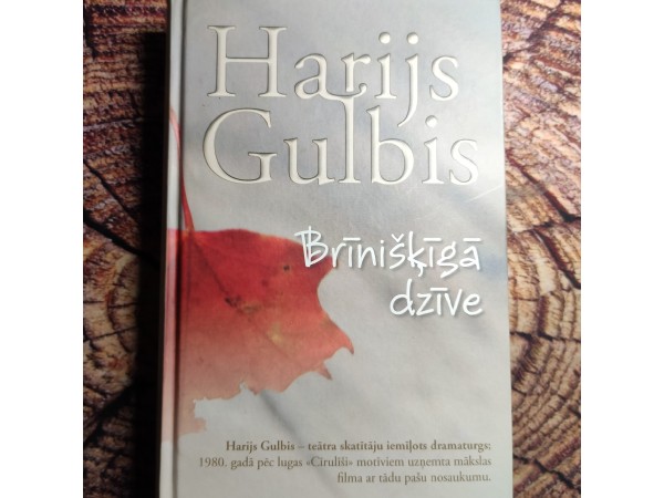 Brīnišķīgā dzīve