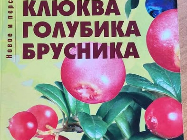 Клюква Голубика Брусника