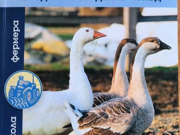 Гуси и утки