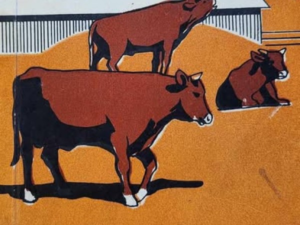 Jaunlopu intensīva nobarošana