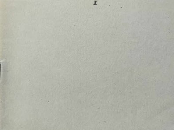 Basic principles of teaching English at school I