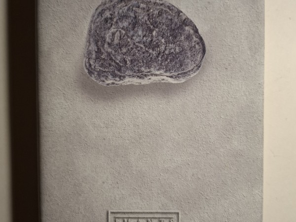 Kopoti raksti 12. Sējums