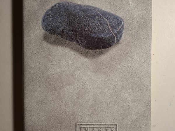 Kopoti raksti 7 sējums