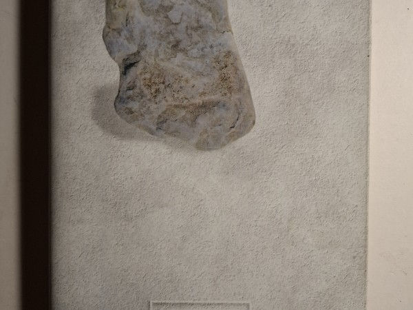 Kopoti raksti 8. Sējums