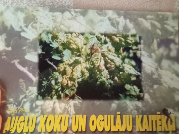 Augļu koku un ogulāju kaitēkļi