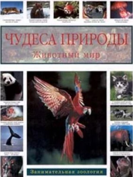 Чудеса природы: Животный мир