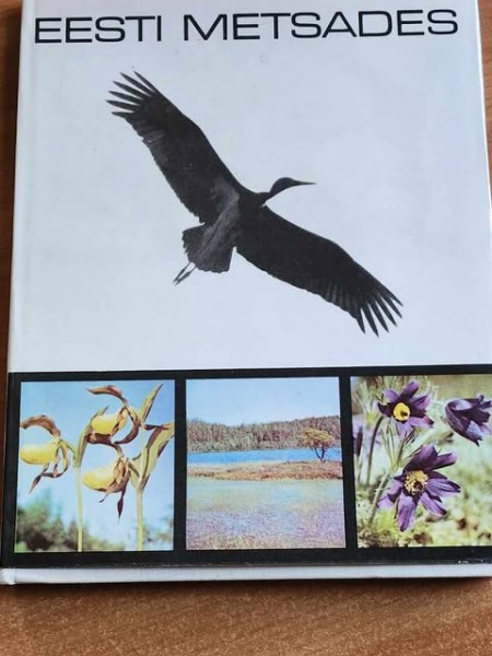 Eesti metsades