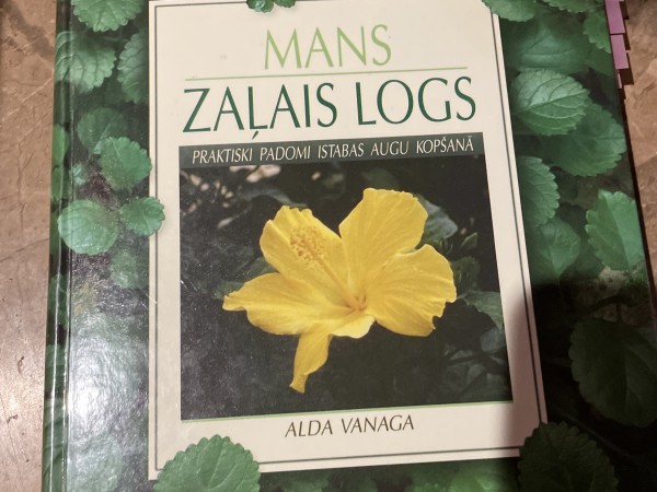 Mans zaļais logs