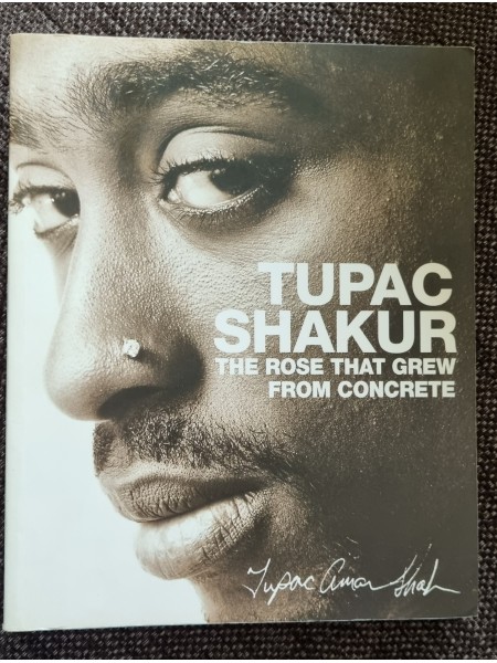 The Rose That Grew From Concrete