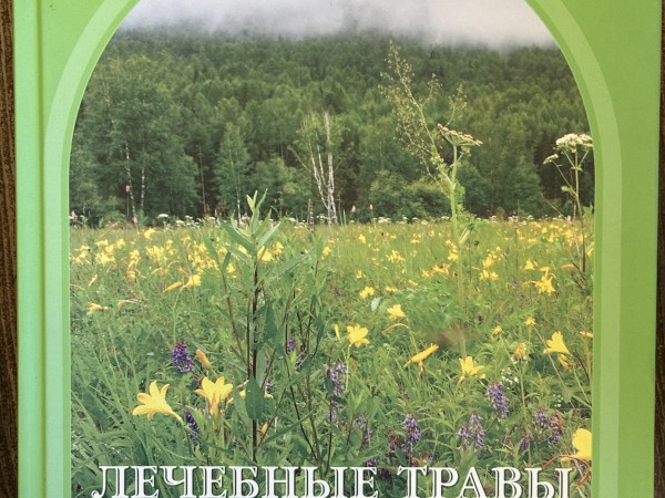 Лечебные травы божественного сада