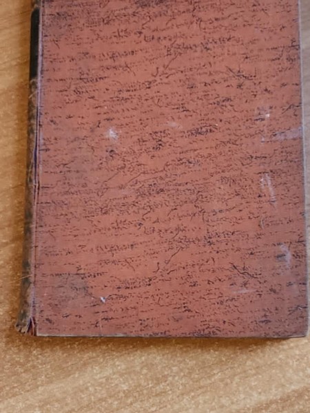 Dienvidjūras sapnis