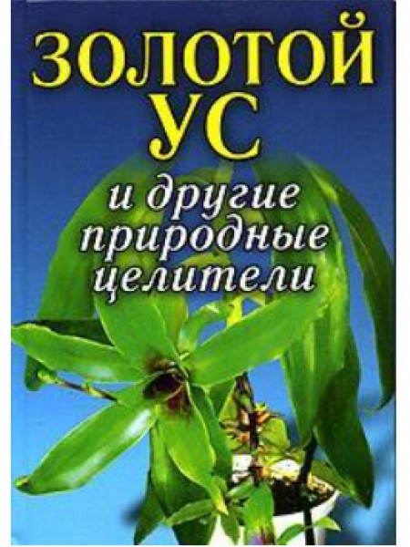 Золотой ус и другие природные целители