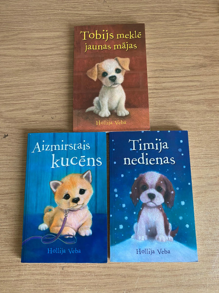 Timija nedienas, Tobijs meklē jaunas mājas, Aizmirstais kucēns