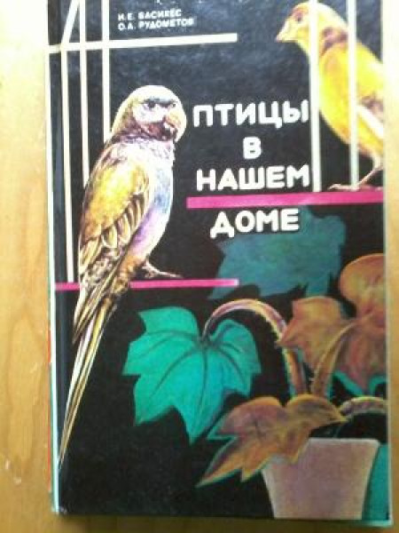 Птицы в нашем доме