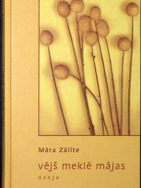 Vējš meklē mājas