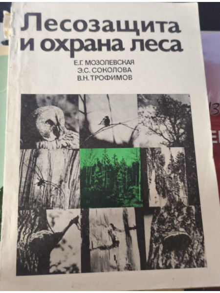Лесозащита и охрана леса