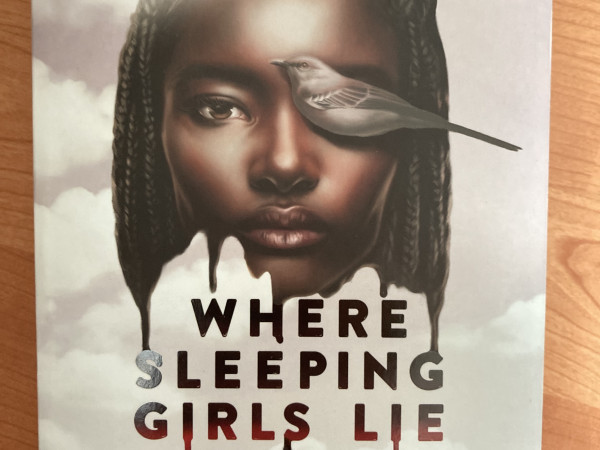 Where sleeping girls lie