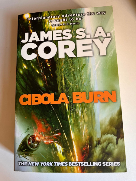 Cibola Burn