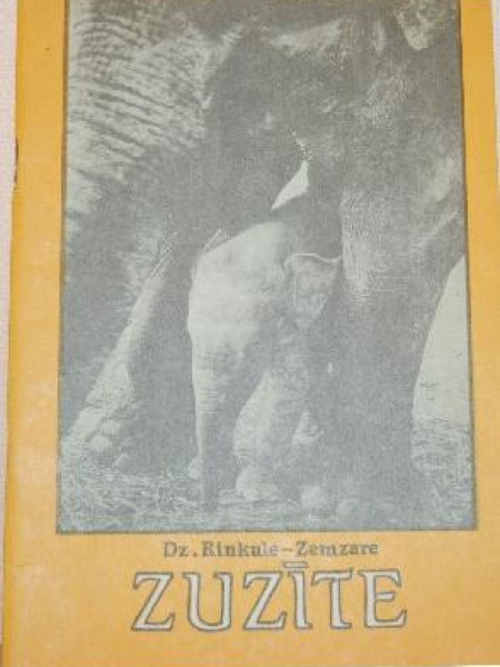 Zuzīte