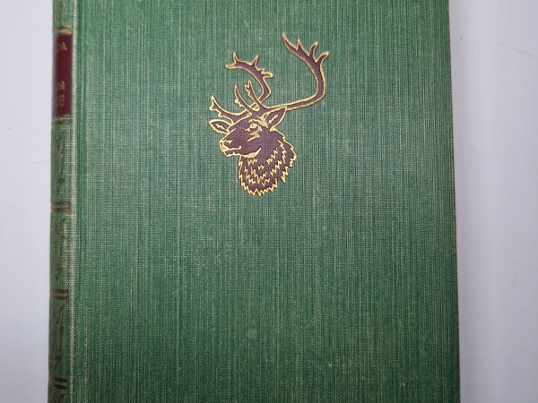 Gane, Kalpone un saimniece (Klaidone pie citu durvīm)