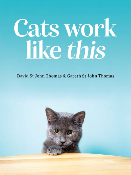 Cats Work Like This